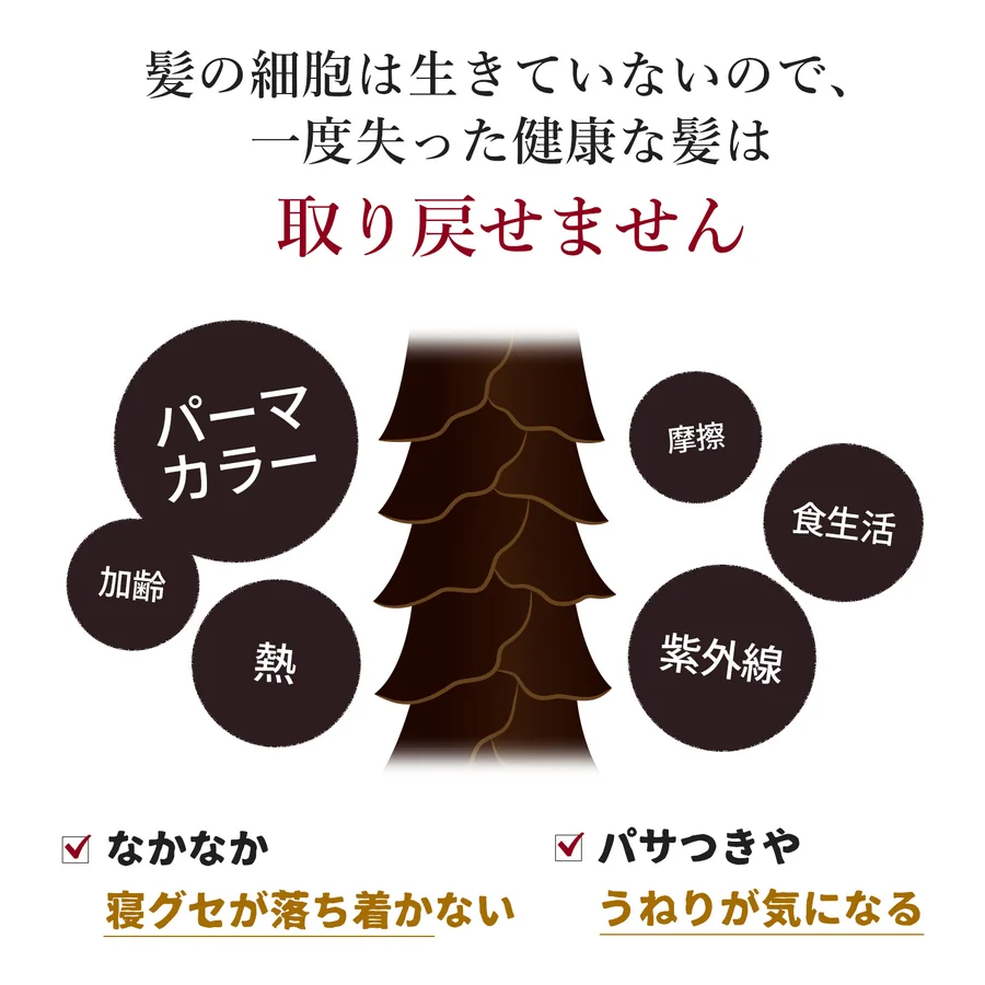 ボルキュア ヘアミネラルローション（ヘアケア）（2枚目）